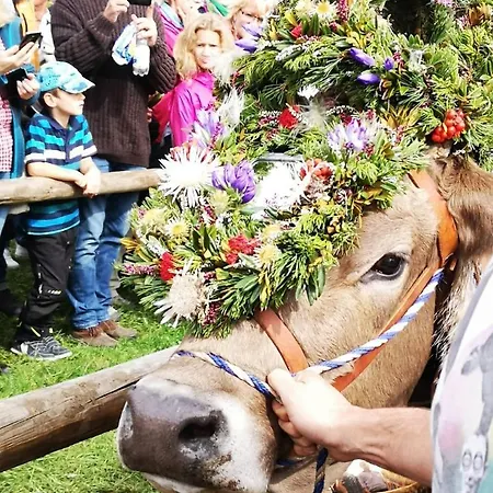 Alpenherz Appartamento