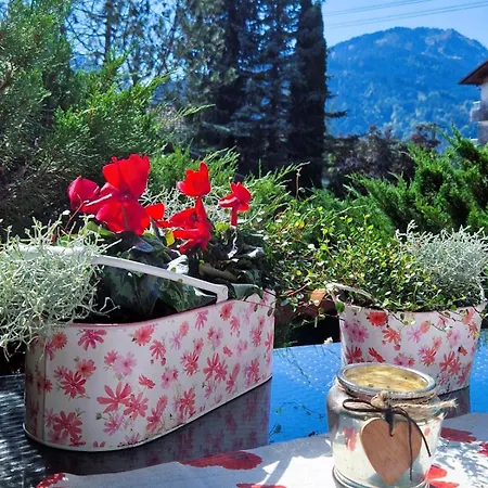 Appartamento Alpenherz *