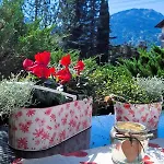 Appartement Alpenherz *