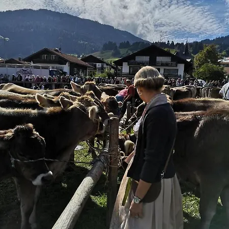 Lägenhet Alpenherz
