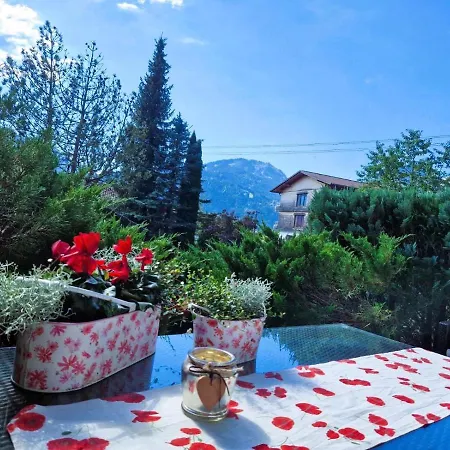 Alpenherz Apartament