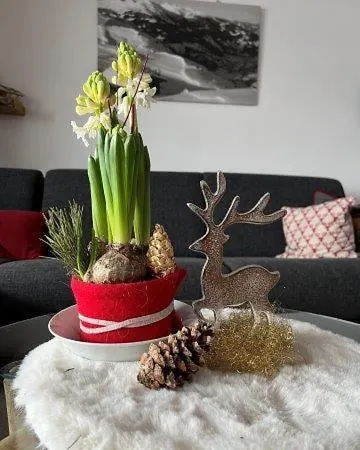 Alpenherz Apartment *