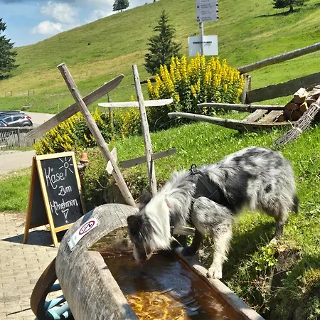 Alpenherz * Obermaiselstein